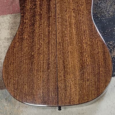 Eastman E1D-Special image 4