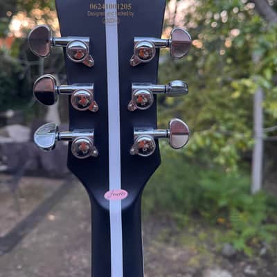 Firefly Neil Young FFSP 2026 upgraded tuners, trem spring image 11