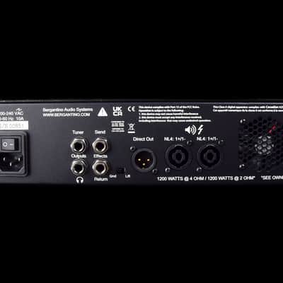Bergantino Forté HP 2X image 3