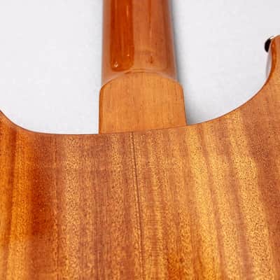 PRS USA Artist Package 20TH Anniversary Custom 22 "Brazillian Rosewood + Natural Burst" (2005) image 15