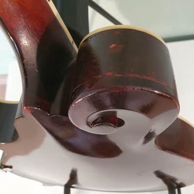 Gibson f2 1914 image 11
