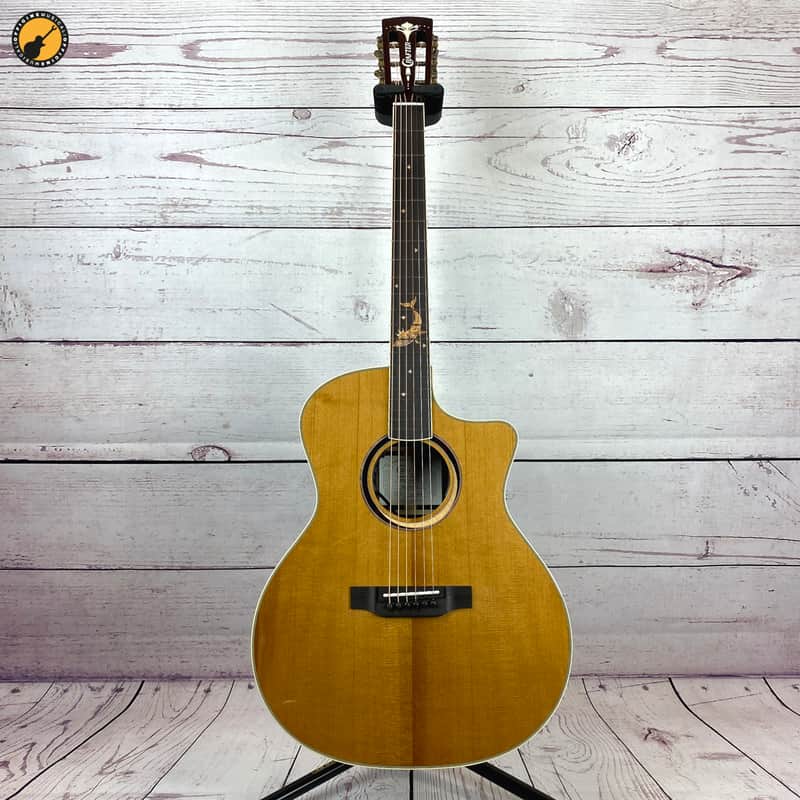 Crafter Mind-W Prestige GCE Rosewood image 1