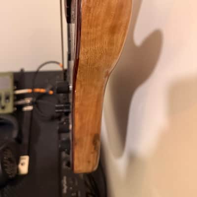 Warmoth Deluxe 5 J Bass Fretless 2025 Gloss Indian Rosewood image 7