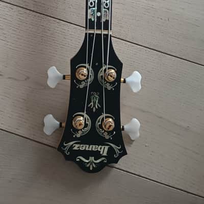 Ibanez Musician Bass 30th. anniversary 2009 image 9