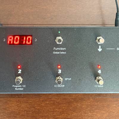 RJM Mastermind MIDI Foot Controller 2010s - Black image 1