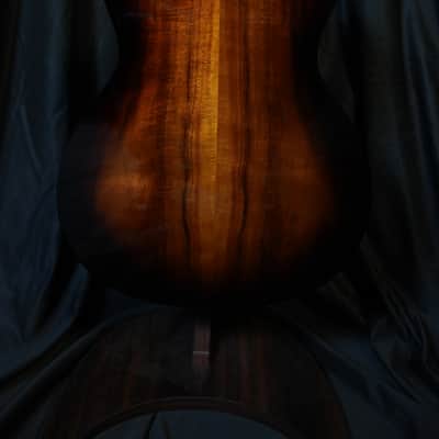 Taylor 224ce-K DLX Shaded Edgeburst image 7