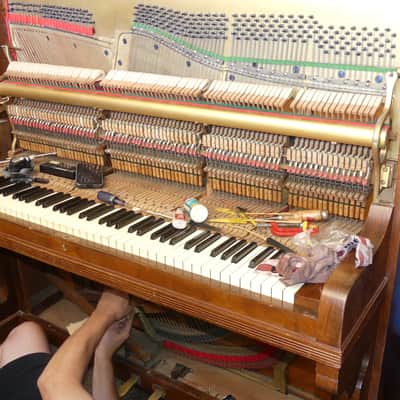 Super Rare Find Antique Free Sydney Delivery Upright Piano Wilhelm Spaethe Gera Made in Germany Burr Walnut Rare Vintage C1910s Restored Tuned Recording Available On Request image 10