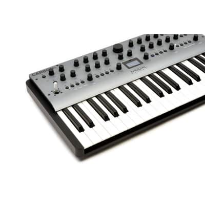 Modal Electronics Carbon8 - Synthesizer image 6