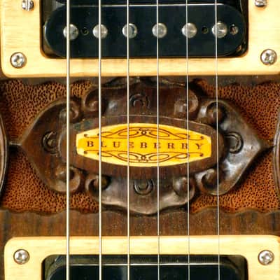 Blueberry Handmade Electric Guitar image 16
