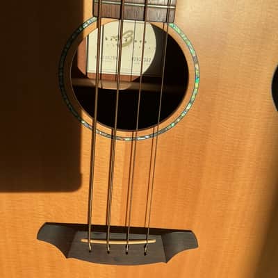 Used Breedlove ABJ250/SM4 Acoustic Bass Guitar image 6