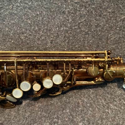 Viking M60 Valkyrie Legend Series Alto Saxophone - Recently Serviced image 2
