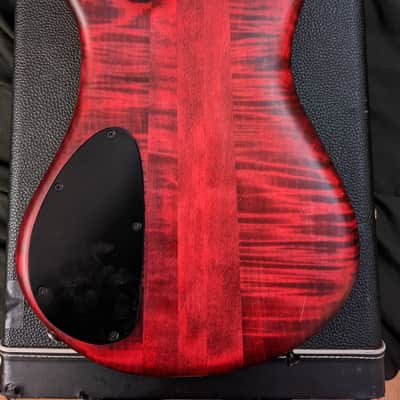 Spector 5w LE 2017 Black Cherry image 6