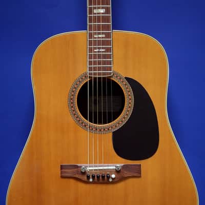 Epiphone 6830 - Kalamazoo 1971 - Vintage RARE label! image 1
