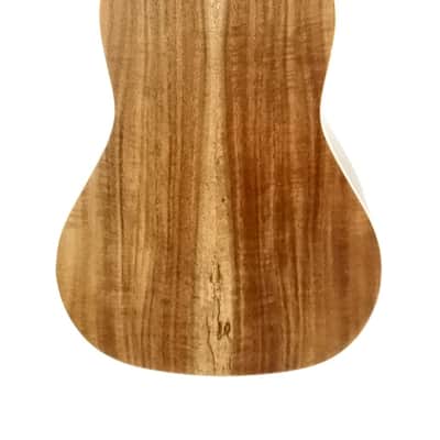 Sun Star Solid Acacia Concert Ukulele image 3