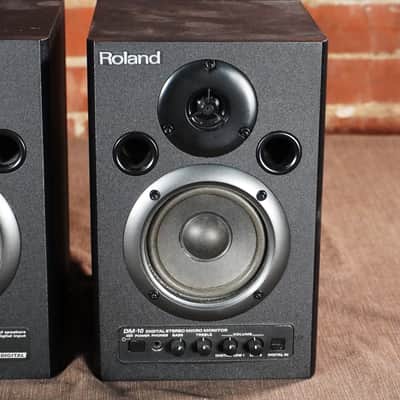Roland DM-10 Stereo Monitors image 3