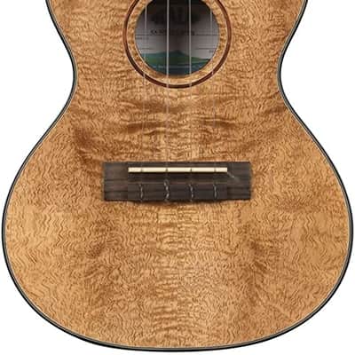 Kala Metropolitan Series, 4-String Ukulele, Concert KA-MNGG-C-W-Bag image 2