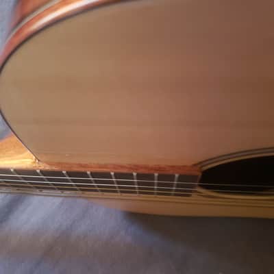 Tanglewood TWJDS Java /Solid Spruce/Amara/Spalted Mango | Dreadnought Bild 15