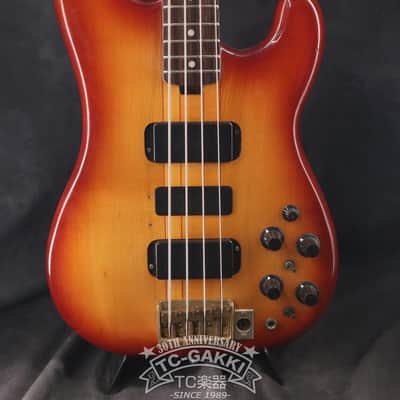 Fernandes 1979-1981 FPM-100 image 1