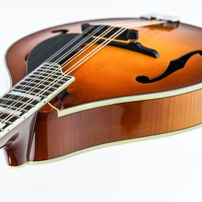 Eastman MD605 Goldburst image 10