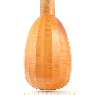 10-course Raymond Passauro Zuccaro Renaissance Lute 1968 image 9