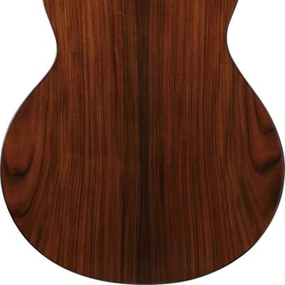 Ibanez JGM10 Acoustic Guitar - Black Satin Top, Natural High Gloss Back and Sides (JGM10BSN) image 17
