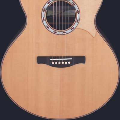 Ibanez MRC10NT Marcin Patrzalek Signature Acoustic Electric Guitar - Natural (MRC10NT) image 14