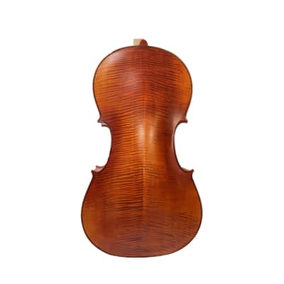 Rare Professional song maestro 5 Strings Cello 4/4, Stradivarius Model #15316 image 6