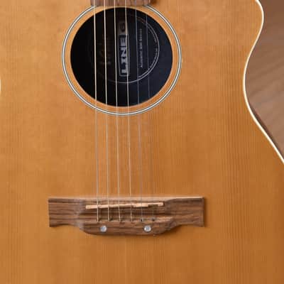 Line 6 Variax Acoustic 300 Series image 6