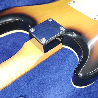 Robin Ranger made in Texas Burst finish binding and case image 9