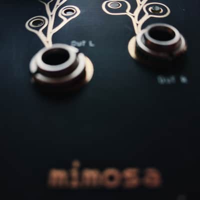 bizarre | jezabel mimosa  black / gold   Stereo  Vacuum Tube Saturator image 8