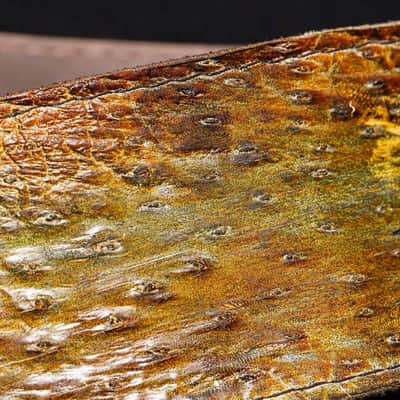 Collection "Elements": AIR image 21
