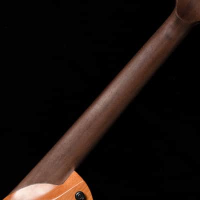 ABASI GUITARS/Larada 7 Multi Scale Burl Maple/Ebony (Natural) image 7