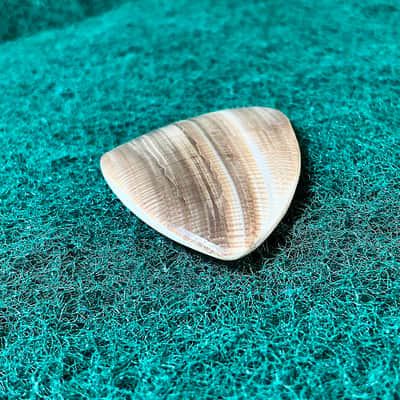 Seashell guitar pick-5.2mm, asymmetrical profile… by BeachSidePicks image 2