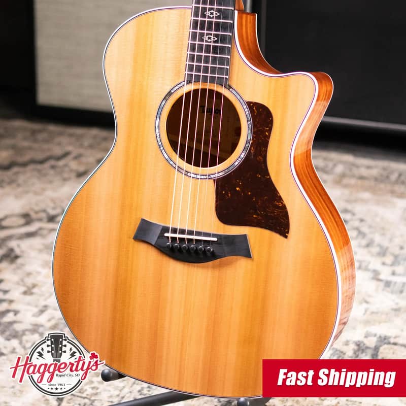 Taylor Next Generation 514ce Grand Auditorium Acoustic/Electric Guitar with Hardshell Case - Factory Demo image 1