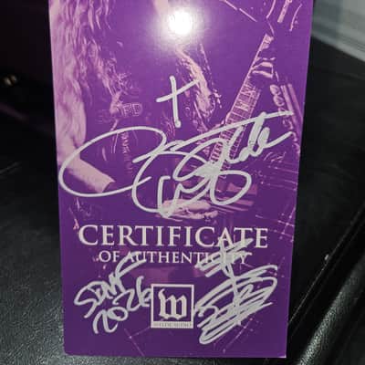 Wylde Audio Amplifier  mini 50 watt head 2026 purple image 10