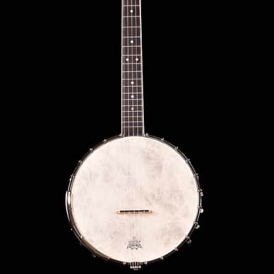 Recording King RB-024 California Deluxe Open-Back Banjo image 1