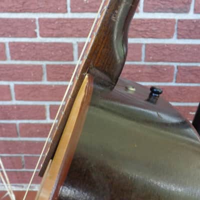 1960's Jackson Guldan Cittern - 10 Strings in B Tuning - Fifths Tuning image 12