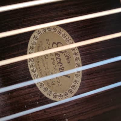 Aria FE60 Elecord 1980s Natural MIJ | Reverb