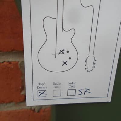 Godin  Radium Matte Green w/bag , sf image 3