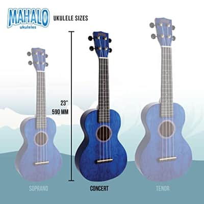 Mahalo Hano Series MH2 Concert Ukulele Transparent Blue image 4