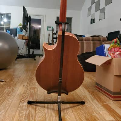 Warwick Alien Acoustic Bass 5 String (B-Stock) + + bonus/Free ToneWood Amp for Acoustic Guitar + bonus/Free Taylor Precision Digital Hygrometer and Thermometer image 6