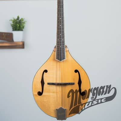 Bourgeois M5A Aged Tone Mandolin Bild 2