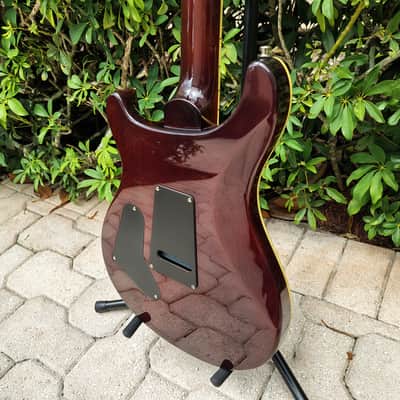PRS SE Custom 24 Ziricote Electric Guitar 2018 image 15