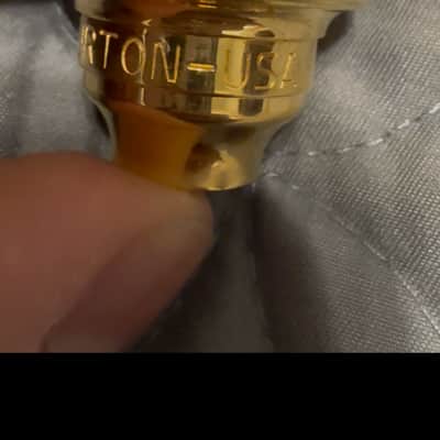 Warburton 5ESV - Gold image 3