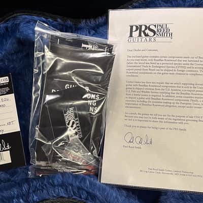 PRS Wood Library Hollowbody II Piezo 10 Top Faded Whale Blue Brazilian Rosewood (758) image 8
