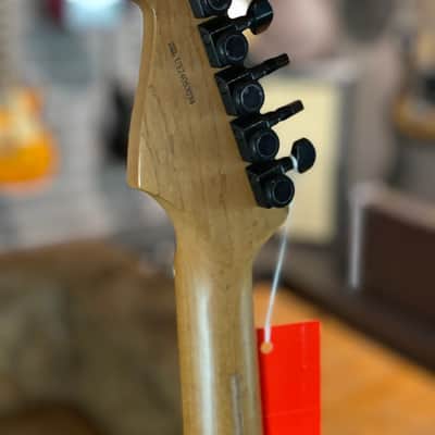 Fender American Professional II HSS Hardtail - Smoke - Sandblasted - NEW - 3,117 kg ! image 9