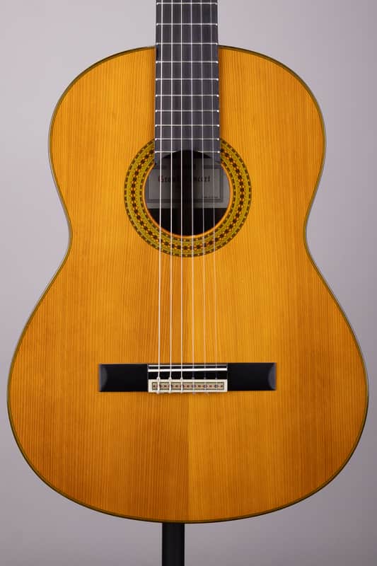 Yamaha GC22C Classical Guitar – Solid Cedar & Rosewood with Case image 1