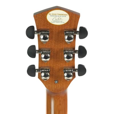 Parkwood Acoustic Owned by Greg Howe image 8