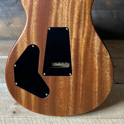 PRS DGT David Grissom Signature Wood Library Flame Maple 10 Top, Brazilian Rosewood FB - RARE! Bonnie Pink Cherry Burst 410959 image 11