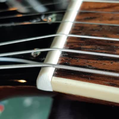 Epiphone Les Paul Standard Plus Top with Bigsby Completely Upgraded image 19